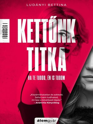 cover image of Kettőnk titka